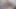 Çek genç - web kamerası gösterisi