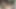 Seksi orta yaşlı seksi kadın üçlü sekste iki büyük yarağın tadını çıkarıyor