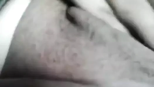 Sabah kedi mastürbasyon yapmak