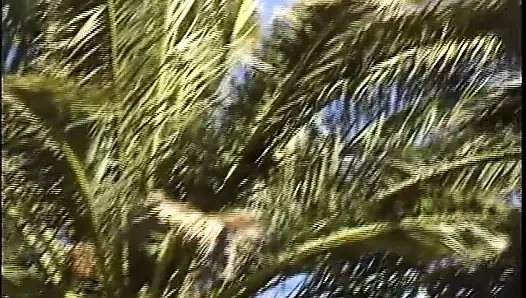 Pis anal aşıklar!!! - cilt #04