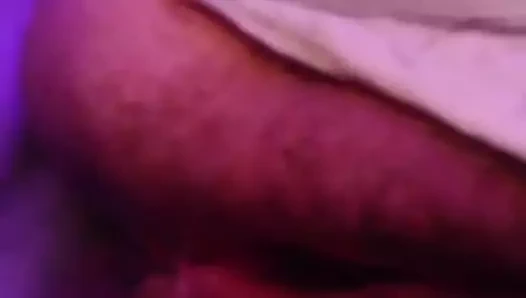 Şaşkın darbeli kedi