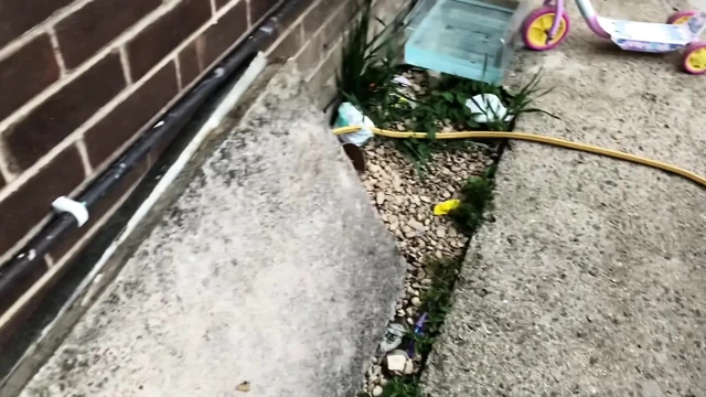 Pencerelerden geçti ve şanslı oldu