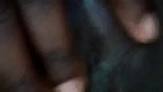 Afrika genç kedi oyun
