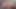 Genç lezbiyenler tiffany star, jenna sativa vardır kedi yalama