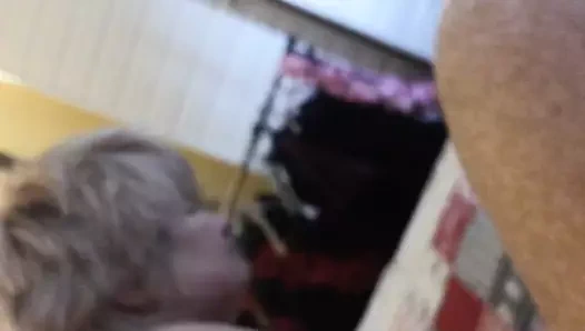 Doğu gövde horoz enayi