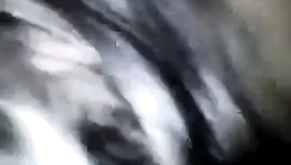 Alisa Saraybosna bosna