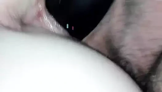 Çift kedi büyük horoz büyük oyuncak bbc