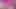 Exclusive Desi Couple's Passion - Famous Indian Lovers in Hot Action (Full Video)