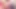 Ünlü aşkım – solo yapay penis mastürbasyonu – lyla everwettt