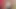 Röportaj 01 - model Gina 33 yaşında porno oyuncu seçmelerinde