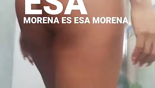 elvira palomino 1edf