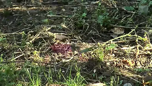 Büyük memeli orta yaşlı seksi kadınlar - (tam film)