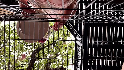 Caged - Хроники жизни у ее ног