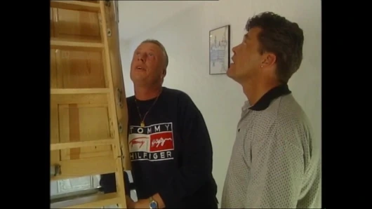 Horozların dispenzası