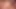 Coq