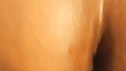 parlak sırt thicy nüfuz