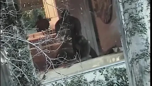 Harika zenci kız kıllı amından sikiliyor ve canavar siyah yarakla ağzına boşalıyor