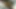 Priya boli jaan chut faatt gye hai meri delhi çifti yeni yıl kutlamaları kanepede domaltarak