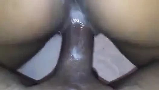 Amatör binicilik çük itibaren sri lanka