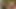 Orta yaşlı seksi üvey annemi mastürbasyon yaparken yakaladım, üvey oğlunun yarağını hayal ediyor