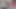 Falconstudios sıcak esmer alır bir dev horoz