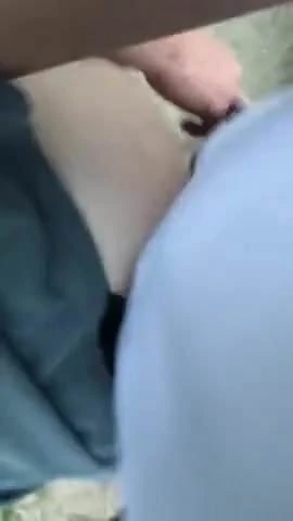 Bir ağaç üzerinde bükülmüş