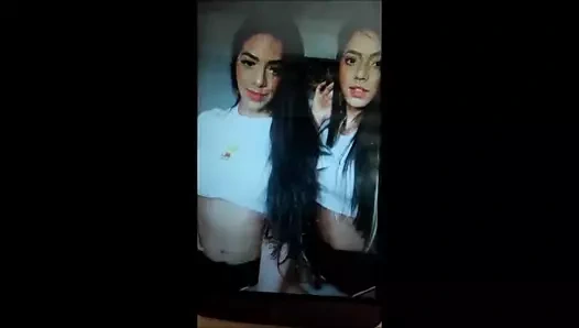 Gemeas lacracao - bbc haraç