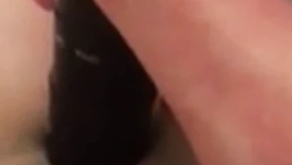 Gf çalış ile kedi