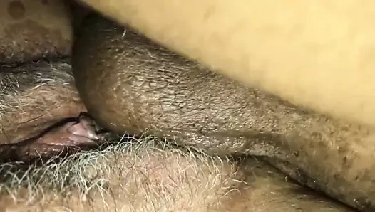 o ıslak KEDİ yan sarma