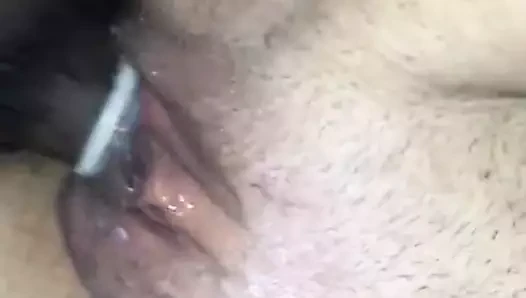 beyaz kedi