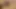 Anonymous stranger creampies in a cum slut