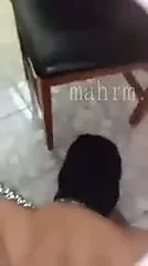 Köpek Cezayir