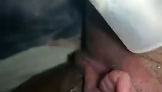 Sbb - tatlı etli kedi