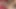 Taylor Vixen lisa ann ile yaramazlık yapıyor