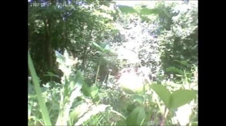 Ormanda çıplak çift