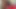 Uzun Yarak Orta Yaşlı Seksi Kadın Islak Sıkı Amcığı Arkadan Sikiyor