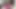 Seksi ladyboy trans anairb midnyt web kamerası