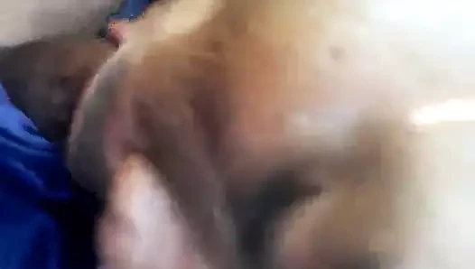 Gay kaikai kok lo bush