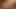 Tushyraw – genç seksi esmer bir profesyonel gibi ağzı açık