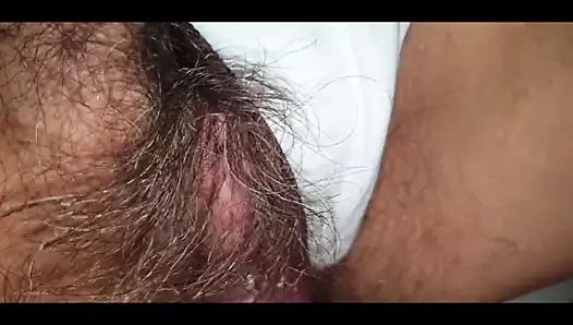 lanet bir kıllı KEDİ