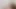 Pakistanlı Hint bengalcesi tiktok
