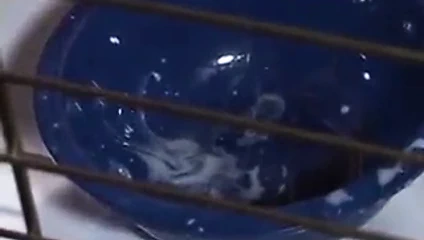 Slutty Cagegirl Swallows Jizzloads