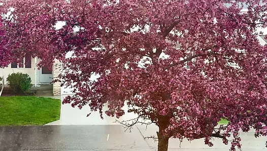 Yağmurlu dışarıda bu yüzden evde kaldım ve kendimi boşalttım