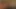 Erw rmen ücretsiz xhamster.flv