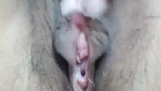 krem kedi