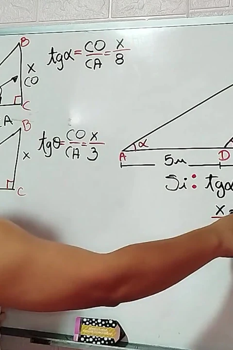 27 trigonometri üçgenin yüksekliğini ve alanını hesaplar - cinsel matematik - azaghal soul