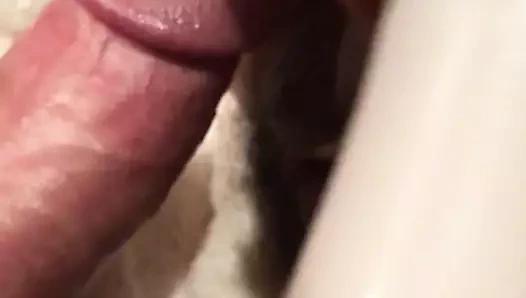 Kahrolası bir horoz ve bir yapay penis