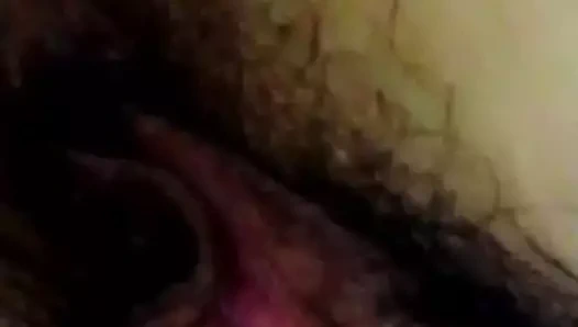 sıkı çin KEDİ bölüm bir