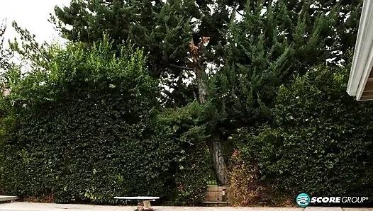 Codi'nin yakın tıraşı