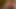 santas little helper under the Christmas tree now in full 4K high quality Ultra HD